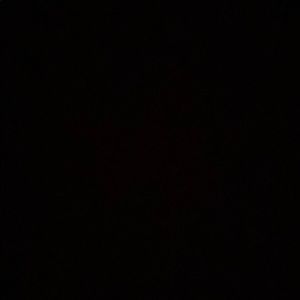 Meet your Posher, Raven